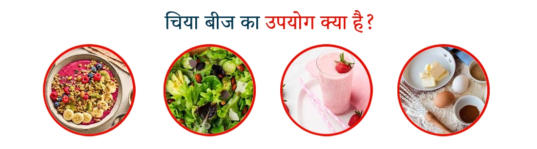 Uses of Chia Seeds in Hindi